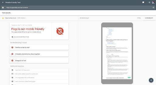 Screenshot_SEO_Audit_04